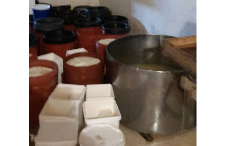 DJATH I MYKUR DHE GJIZË E NDENJUR/ FOTO: Mbyllet punishtja në Gjirokastër, AKU “lemeriset” me ato që gjen