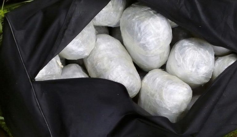 PO “RUANTE” 130 KILOGRAMË HASHASH/ Shqiptari që bënte “roje” në pyll. Kishte…