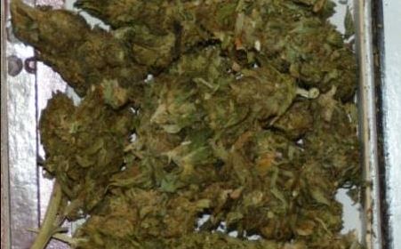 KAPET I “FORTI” I BULQIZËS/ 27 vjeçari ARRESTOHET për DROGË. Shpërndante dhe shiste në… (EMRI)