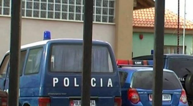 NDALOHEN NË DEVOLL/ 23 emigrantët janë ilegal të ardhur nga Lindja e mesme