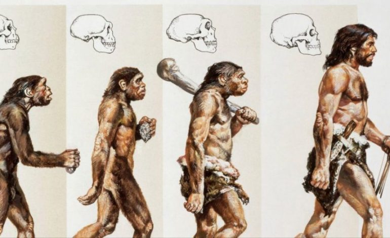 EVOLUCIONI I NJERIUT/ Dhjetë gjëra që mendoni se i dini
