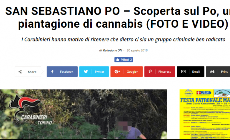 391 RRËNJË MARIJUANE NË VAZO/ VIDEO: DY “kapot” shqiptarë që furnizonin bandat italiane