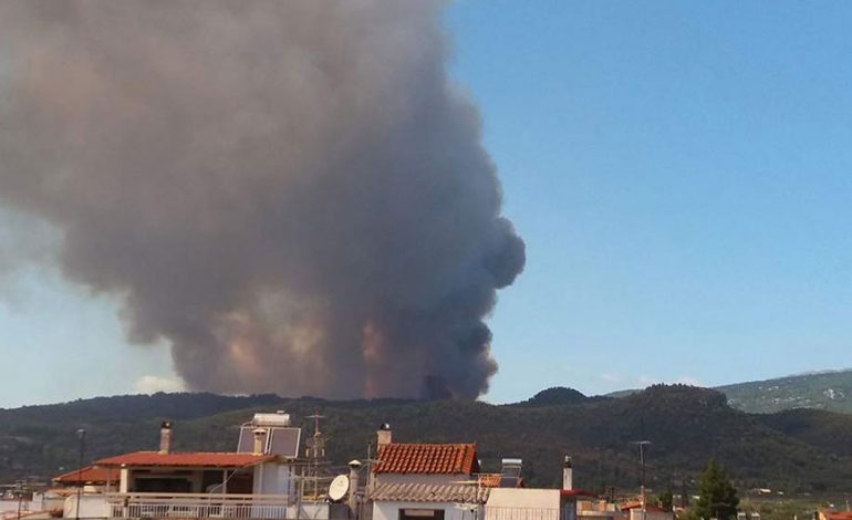 Zjarre të reja në Greqi, pas Athinës, ishuj dhe gadishulli i Peloponezit në flakë