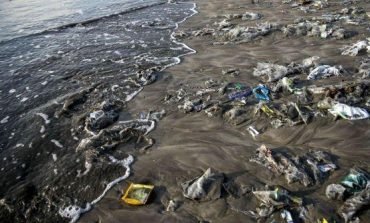 Ndotja e bregdetit, edhe Zelanda e Re ndalon përdorimin e qeseve të plastikës