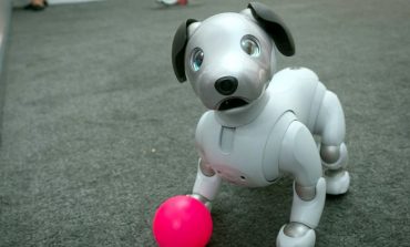 RISIA ARRIN DHE NË PERENDIM/ Japonia “i lëshon” SHBA-së qenin-robot Aibo