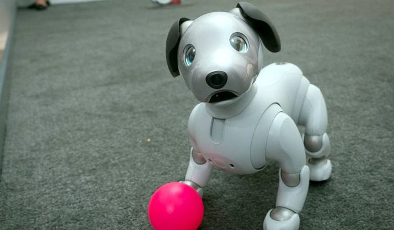 RISIA ARRIN DHE NË PERENDIM/ Japonia “i lëshon” SHBA-së qenin-robot Aibo