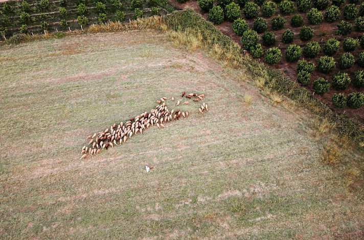 “NJË SHËTITJE NË FSHATRAT E SARANDËS”/ FOTO: Perla e jugut që i ofron të gjithë aktivitetet natyrore