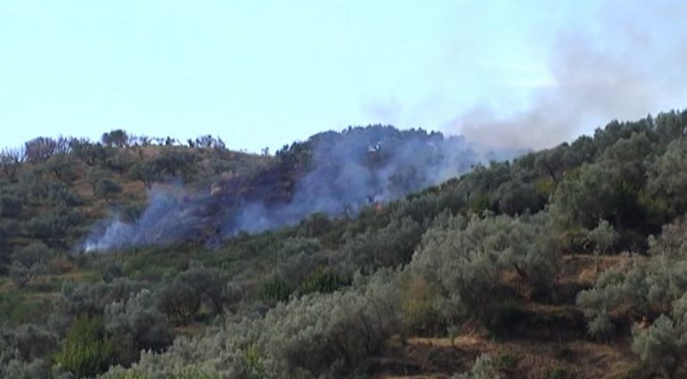 VATRAT E ZJARREVE NË PYLLIN E SEMANIT/ Detajet: Shuhen FLAKËT. Ishte vendosur qëllimisht
