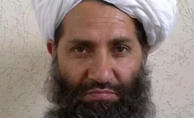 LUFTA NË AFGANISTAN/ Tlebanët kërkojnë bisedime direkte me SHBA