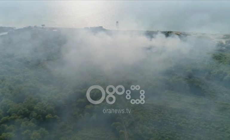 ZJARRET NË PYLLIN E SEMANIT/ Ushtria niset për evakuuimin e zonës. 40 efektivë gati për shuarjen e flakëve