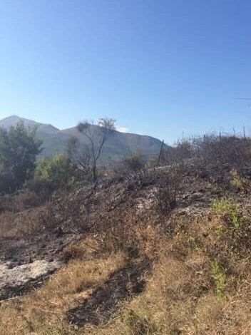 ZJARRI NË BËRDICË/ Dyshohet se ishte i qëllimshëm për hapjen e kullotave të reja