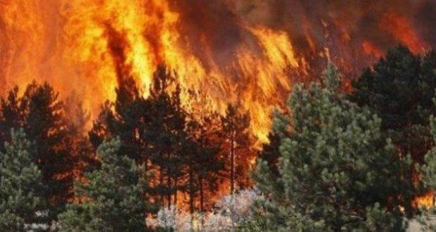 ZJARRI NË FUSHË ARRËZ/ Bashkia: Po afrohet pranë banesave