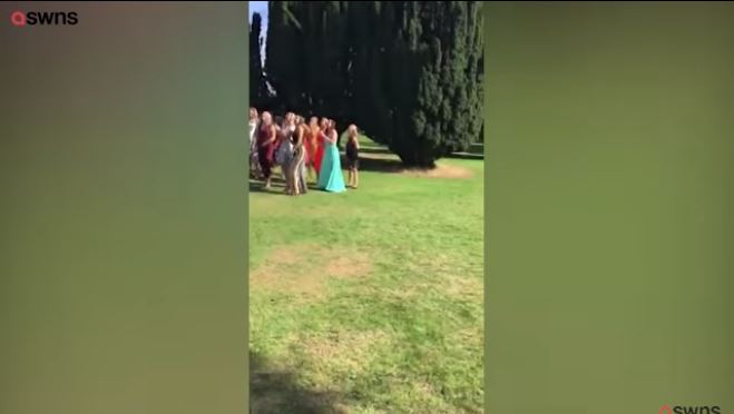 MOMENTI I SIKLETSHËM/ VIDEO: E dashura merr buqetën, partneri ikën me vrap