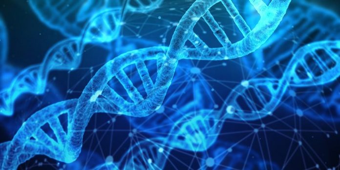 VËRTETIMI I SHKENCËS: Gjenomi i njeriut po zvogëlohet ka më pak gjene nga se mendohej