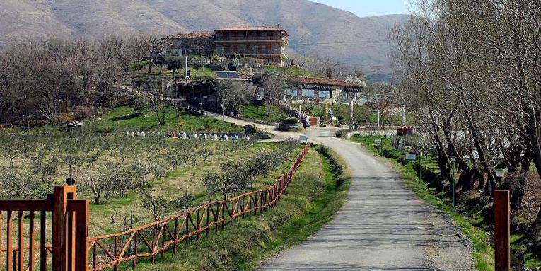 RRITJA E TREGUT TË AGROBIZNESEVE: 43 struktura të reja të HAPURA. Trefishim me 2017-ën