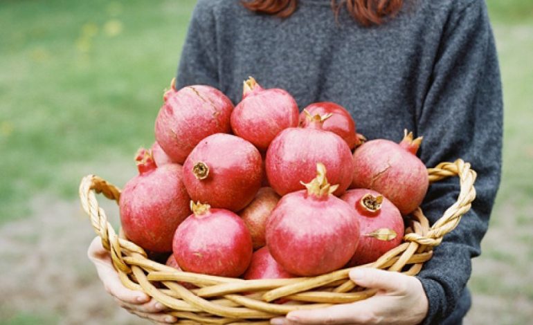 SHEGA FRUTI I MREKULLIVE/ Sipas mjeksisë tradicionale kineze ja cilat janë disa nga faktet për shegën