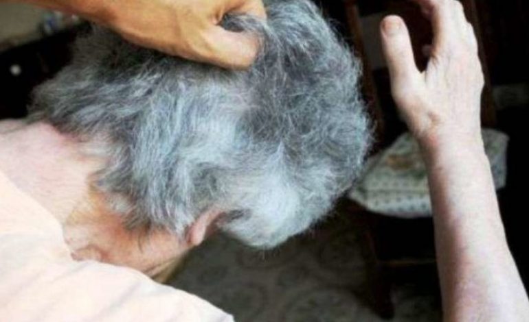 E PAZAKONTË NË MALIQ/ Nusja RREH vjehrrën dhe vjehrri nusen. Ndodhi kur…