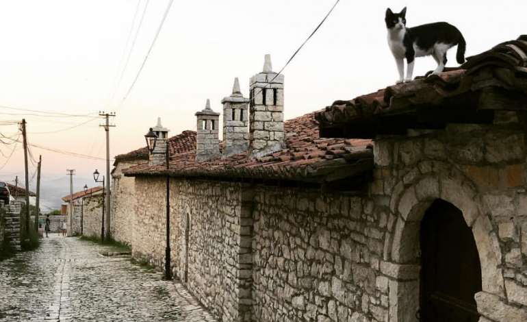 “Macet udhëheqin çatitë në Berat”/ Postimi i TURISTIT nga Çekia, mahnitet nga Kalaja dhe rrugicat e saj (FOTO)