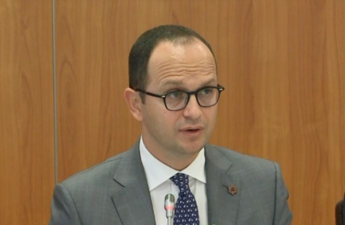 “TRAFIKIMI I ARMËVE”/ Bushati: Duhet të ndalohet eksportimi me vendet që janë në konflikt