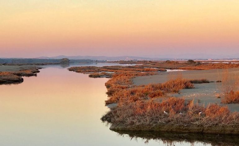 Turistët norvegjezë “fiksohen” pas parkut Kombëtar Divjakë-Karavasta, ja disa pamje spektakolare nga kjo bukuri shqiptare (FOTO)