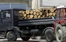 PO TRANSPORTONTE DRU ZJARRI/ Policia ndalon 41 vjeçarin në Mirditë, nuk ishte i pajisur me…