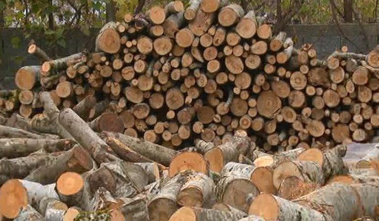 TREGTIMI I LËNDËVE DRUSORE/ Falsifikoi dokumentat dhe fshehu të ardhurat, arrestohet 37 vjeçari (EMRI)