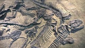 KINË/ Gjendet fosili i një dinozauri