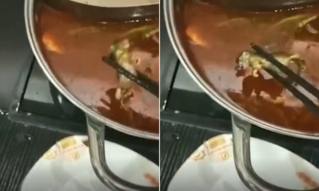 E PAPBESUESHME/Ja cfarë gjeti gruaja në supë në restorant