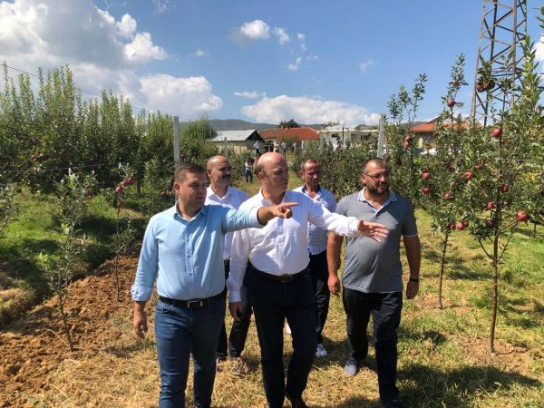 Subvencione në bujqësi/ Panariti: T’u jepen fermerëve paratë e premtuara