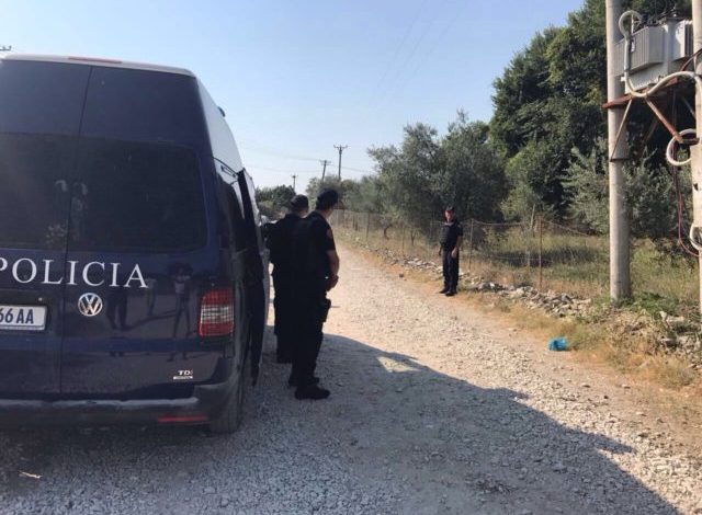 AKSIONI ANTI DROGË/ Policia shkul “pa dashje” mandarinat në vend të kanabisit, fermerja shpërthen në lot (VIDEO)