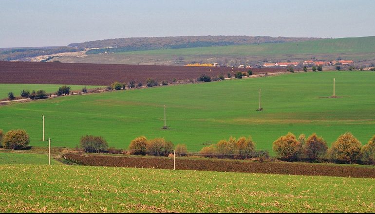 LIGJI I RI PËR PRONAT/ Ja si do zbatohen vendimet e Gjykatës së Strasburgut