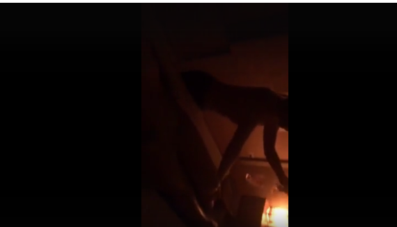 MASAZHE LAKURIQ E FOTO HOT/ Çfarë bëhej brenda qendrës estetike që shërbente si vatër PROSTITUCIONI