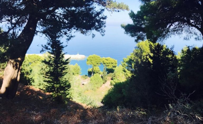 DESTINACIONI “KARABURUN”/ Flet Drejtori i Portit Vlorë: 20 mijë turistë janë nisur për “Sazanin” me anije