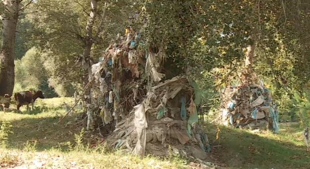 PRANË LUMIT TË TIRANËS/ E vërteta e hidhur e ndotjes që tregojnë pemët