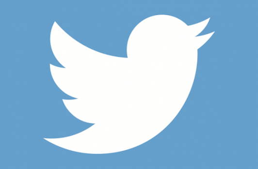 TRUMP AKUZON TWITTER PËR ANSHMËRI/ Twitteri pranon zhdukjen e 600,000 llogarive, përshirë disa kongresmen