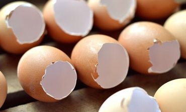 Zbuloni 6 mënyra për të ripërdorur lëvoret e vezëve (FOTO)