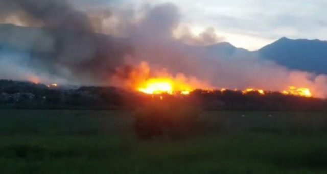 ZJARR NË ELBASAN/ 15 zjarrëfikëse në vendin e ngjarjes