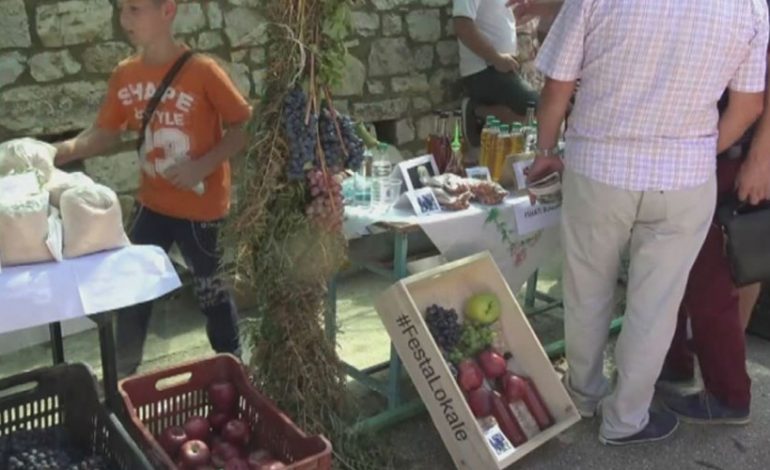 PANAIRI I ROSHNIKUT/ Prezantohen prodhimet e zonës së Beratit