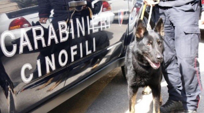 OPERACIONI “VELLUTO me 17 TË ARRESTUAR”/ Reagon Policia e Shtetit: Grupi kriminal…