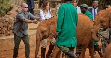 VIZITA NE KENIA/ Elefanti godet Melania Trump (VIDEO)