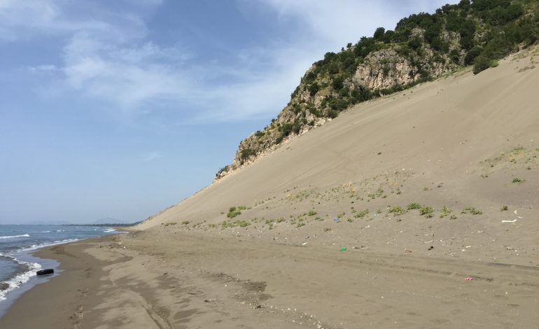 “MALLKIMI I RANËS SË HEDHUN”/ Kape krejt “q** motrën”. Përgjimet e vëllait të Arben Ndokës: Na duhet një k** për këtë punë