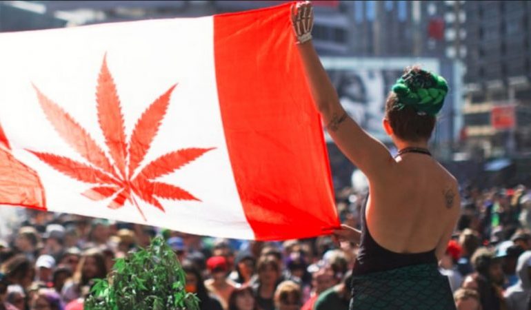 NDODH NË KANADA/ Legalizohet shitja dhe përdorimi i kanabisit rekreativ