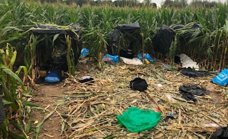 “SHTEGU” I RI I SHQIPTARËVE PËR NË ANGLI/ Frikësohen deputetët holandezë (FOTO)