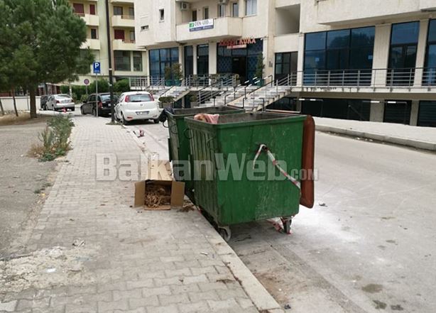 BRAKTISI FOSHNJEN E PAJETË TEK KOSHAT E MBETURINAVE/ Shoqërohet në polici nëna