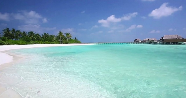 ISHUJT MALDIVE EKSPORTOJNË TERRORISTË ISLAMIKË/ “Bota duhet ta kuptojë…”