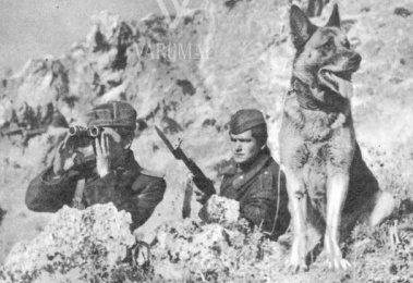 RUKIJE HOXHA RRËFEN SI U MARTUA ME VËLLANË E SAJ/ Burrin ia vranë në kufi Grekët