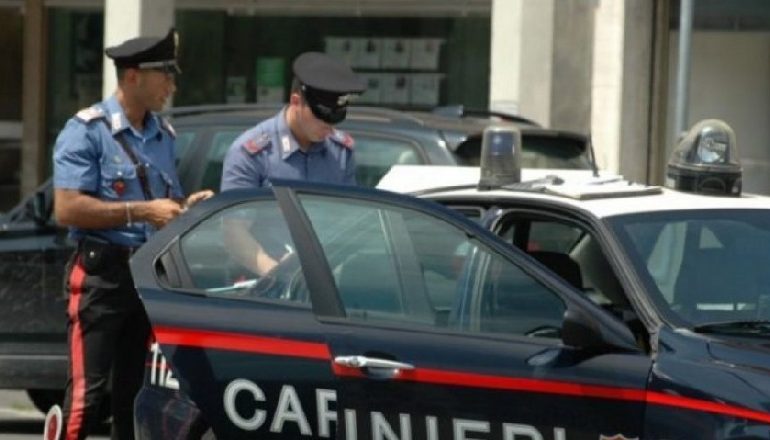 KULTIVOI 1562 BIMË KANABIS NË SUEDI/ Kapet në aeroportin italian SHQIPTARI në kërkim NDËRKOMBËTAR