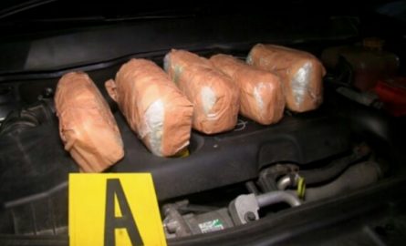AKSIONI I POLICISË “BLIC”/ Detajet e REJA: 570 kg “KANABIS” sativa është sasia e “DROGËS” e kapur në Qafë-Thanë