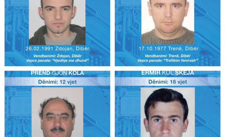 POLICIA PUBLIKON EMRAT/ Ja kush janë 22 personat më të kërkuar në Dibër, mes tyre edhe një femër (FOTO)