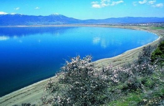 U NIS PËR PESHKIM NË POGRADEC/ Dallgët e nxjerrin në Maqedoni, gjendet 58-vjeçari